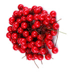 100pcs Artificial Red Holly Berry Christmas Home Decoration Hanging Ornaments