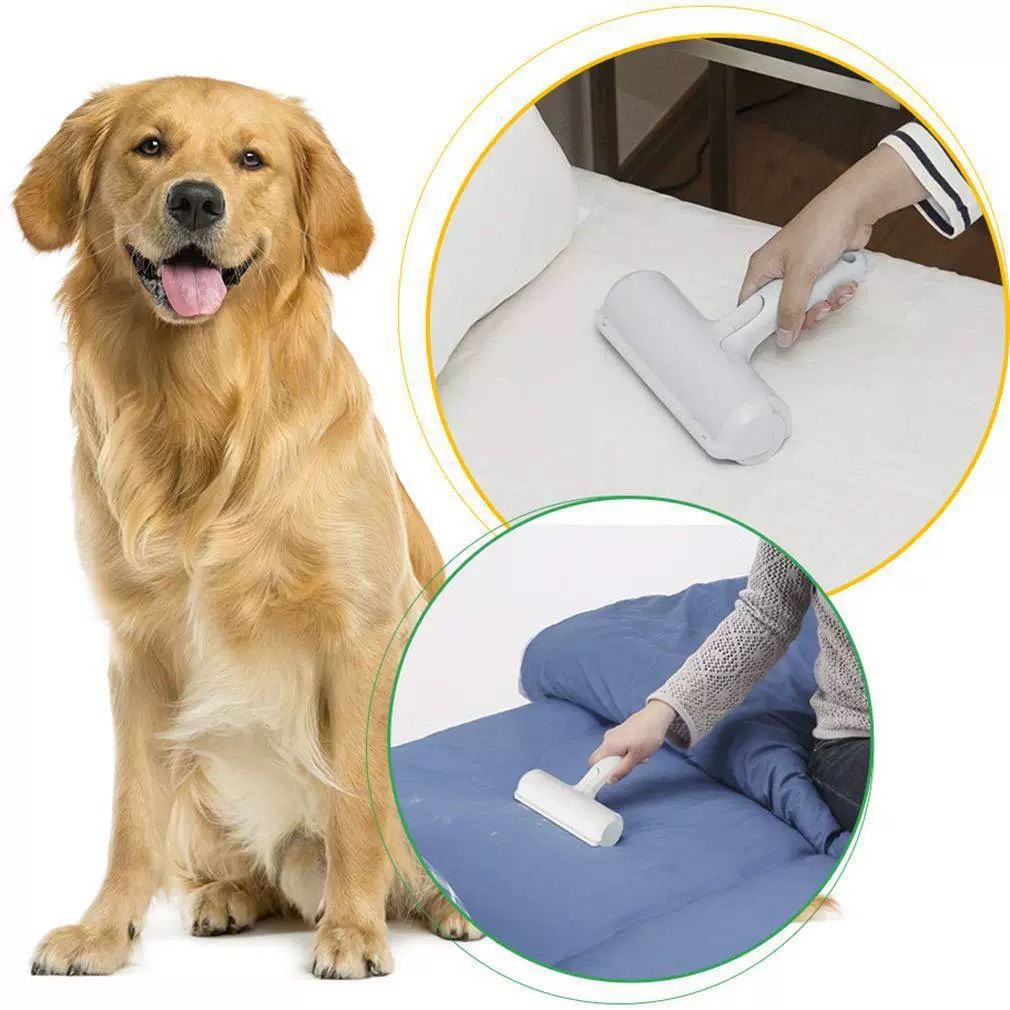 Addone Pet Hair Removal Brush Carpet Cleaner Green Ordinary model upgraded handle opp packaging