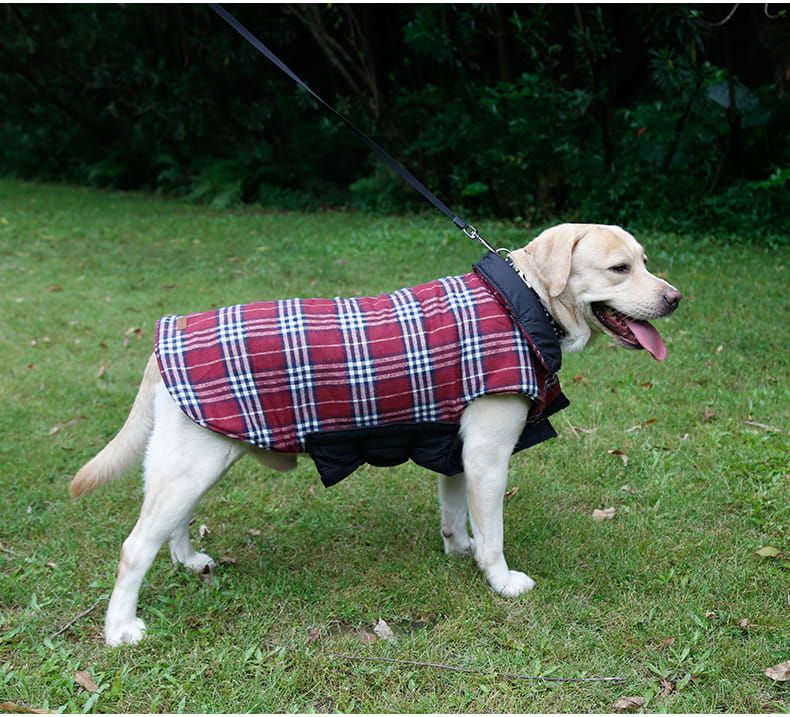 Reversible Winter Dog Coat with Plaid and Quilted Sides, Warm Cotton-Filled Vest for Outdoor Walks, Adjustable Velcro Straps for a Secure Fit (M, Brown)