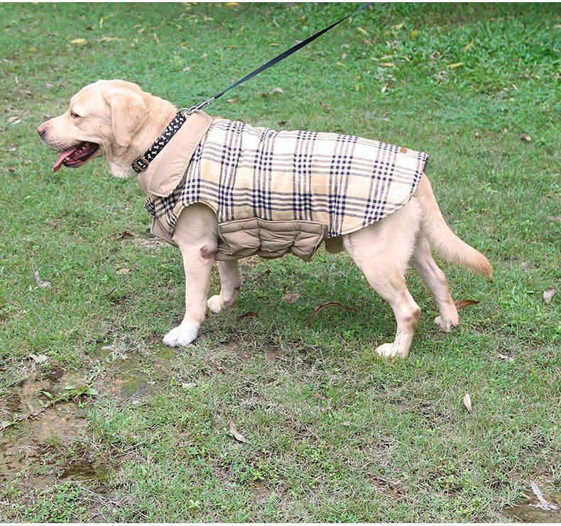 Reversible Winter Dog Coat with Plaid and Quilted Sides, Warm Cotton-Filled Vest for Outdoor Walks, Adjustable Velcro Straps for a Secure Fit (XL, Red)