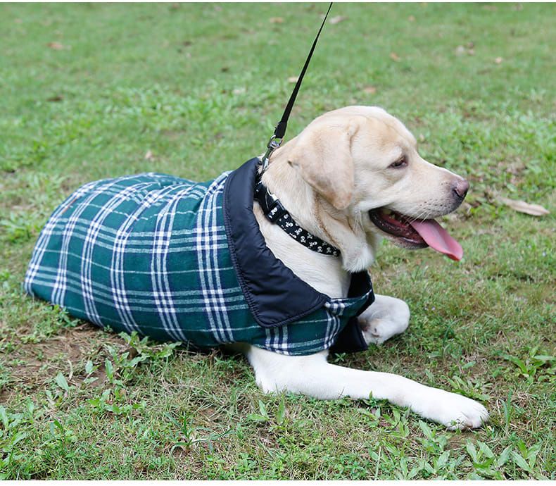 Reversible Winter Dog Coat with Plaid and Quilted Sides, Warm Cotton-Filled Vest for Outdoor Walks, Adjustable Velcro Straps for a Secure Fit (XS, Brown)