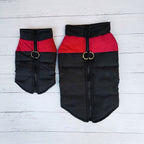 Winter Dog Ski Jacket with Waterproof and Windproof Polyester Shell, Thick PP Cotton Padding for Warmth, 3D Ergonomic Fit with D-Ring Leash Attachment, Ideal for Outdoor Walks and Snow Adventures (2XL, Purple)