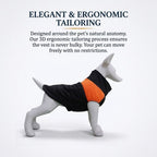 Winter Dog Ski Jacket with Waterproof and Windproof Polyester Shell, Thick PP Cotton Padding for Warmth, 3D Ergonomic Fit with D-Ring Leash Attachment, Ideal for Outdoor Walks and Snow Adventures (L, Blue)