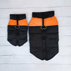 Winter Dog Ski Jacket with Waterproof and Windproof Polyester Shell, Thick PP Cotton Padding for Warmth, 3D Ergonomic Fit with D-Ring Leash Attachment, Ideal for Outdoor Walks and Snow Adventures (M, Purple)