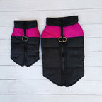 Winter Dog Ski Jacket with Waterproof and Windproof Polyester Shell, Thick PP Cotton Padding for Warmth, 3D Ergonomic Fit with D-Ring Leash Attachment, Ideal for Outdoor Walks and Snow Adventures (XL, Green)