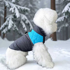 Winter Pet Dog Padded Vest with Waterproof Shell, Warm Fleece Lining, and Leash Attachment Ring for Outdoor Cold Weather Walks (M, Blue)