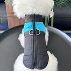 Winter Pet Dog Padded Vest with Waterproof Shell, Warm Fleece Lining, and Leash Attachment Ring for Outdoor Cold Weather Walks (M, Blue)