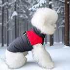 Winter Pet Dog Padded Vest with Waterproof Shell, Warm Fleece Lining, and Leash Attachment Ring for Outdoor Cold Weather Walks (M, Blue)