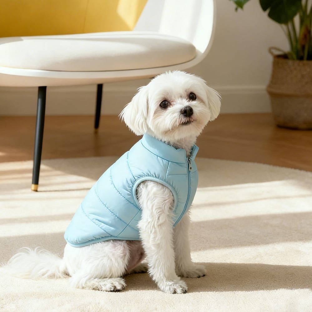 Winter Warm Quilted Vest for Small Pets – Water-Resistant, Fleece-Lined, Easy-On Design with Leash Hole for Indoor and Outdoor Use (XS, Blue)