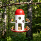 Hanging Bird Feeder with Red Dome Roof and Perch, Outdoor Wild Bird Feeding Station for Garden, Yard, Balcony, or Park Decoration and Bird Watching (Red)