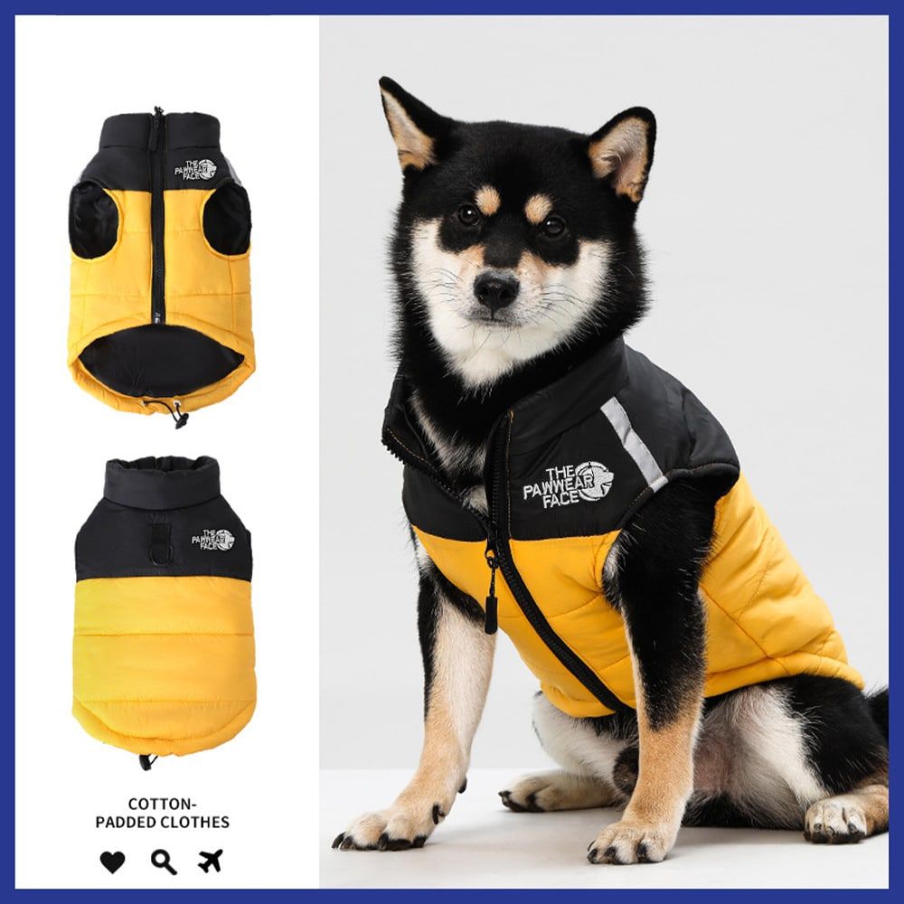 Keep Your Pup Cozy and Visible This Winter – Waterproof, Insulated Dog Coat with Reflective Strips, Front Zipper, D-Ring Leash Attachment, and Adjustable Fit for Daily Walks and Outdoor Adventures (2XL, Grey)
