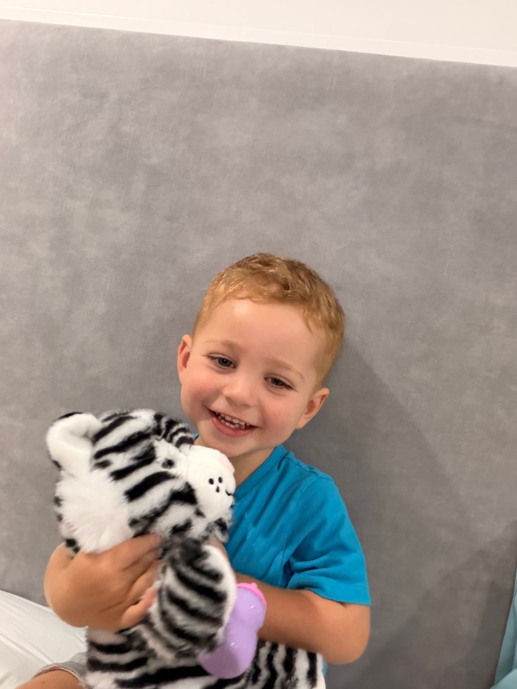 Interactive Tiger