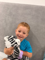 Interactive Tiger