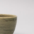 Mug 250ml Washed Fern