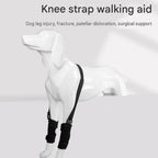 M  Size Dog Knee Brace and Leg Support Sleeve - Protective Wrap, Lightweight Anti Licking Cover for Walking and Supervised Daily Pet Care