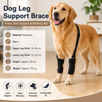 L  Size Dog Knee Brace and Leg Support Sleeve - Protective Wrap, Lightweight Anti Licking Cover for Walking and Supervised Daily Pet Care