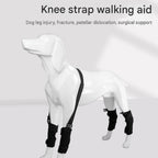 M Size Adjustable Dog Knee Brace set - Include front and hind legs Soft Neoprene Leg Support Sleeve with Elastic Straps, Anti-Lick Recovery Aid for Pets