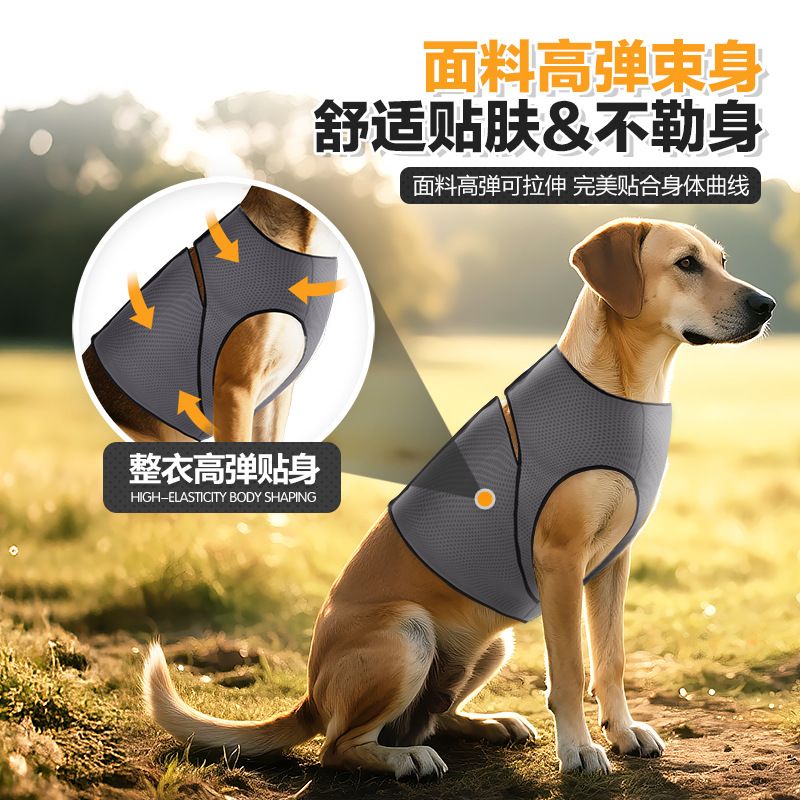 Blue L Size Dog Anxiety Relief Set - Breathable Mesh Calming Vest and Noise Reducing Earmuffs for Dogs, Thunderstorm and Fireworks Stress Support