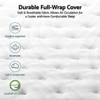 RoomSense Queen 30cm Latex Mattress Medium Firm Bundle, Pine Bed Frame